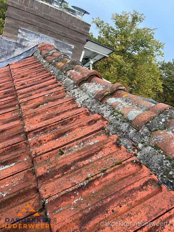 Verweerd hellend dak met mosgroei op nokvorst in Nederweert Verweerd hellend dak met mosgroei op nokvorst in Nederweert