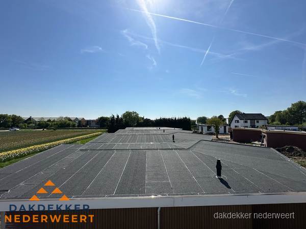 Groot plat dak met bitumen dakbedekking op bedrijfspand in Nederweert Groot plat dak met bitumen dakbedekking op bedrijfspand in Nederweert