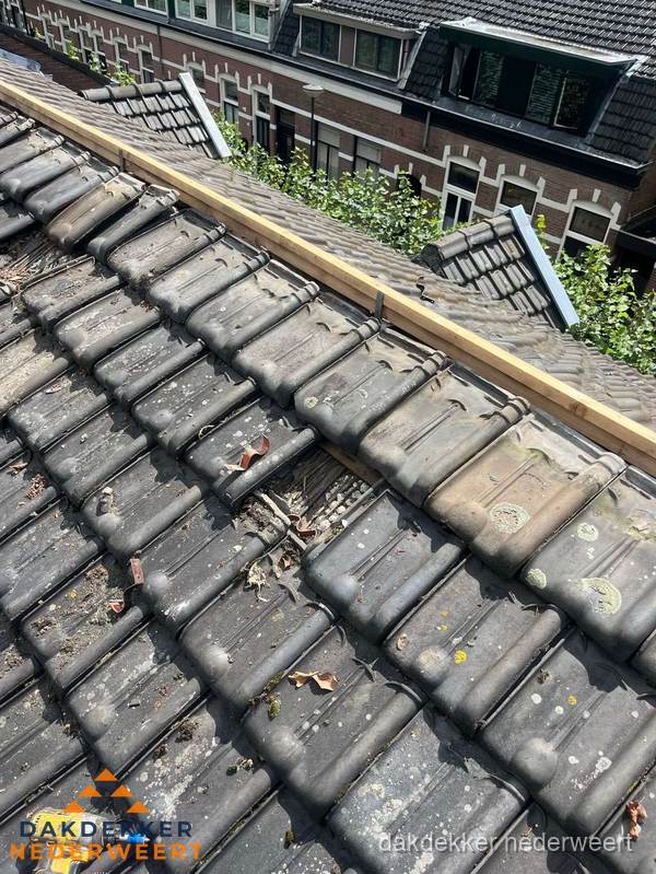Dakonderhoud aan schuin pannendak met nokvernieuwing in Nederweert Dakonderhoud aan schuin pannendak met nokvernieuwing in Nederweert